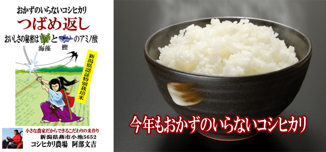 29年産つばめ返し