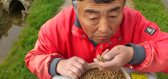 蕎麦屋の出汁の匂いのする田んぼ