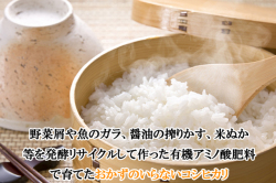 コロナアミックスで育てたコシヒカリ