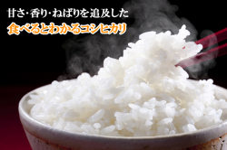 おかずのいらないコシヒカリ