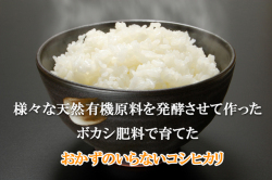 ワールドエースで育てたコシヒカリ