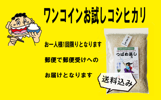 お試しコシヒカリ