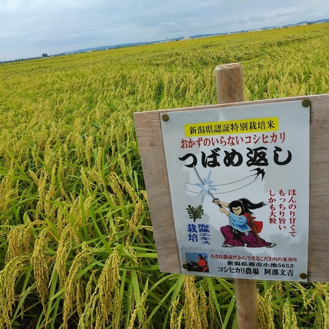 おかずのいらないコシヒカリつばめ返し