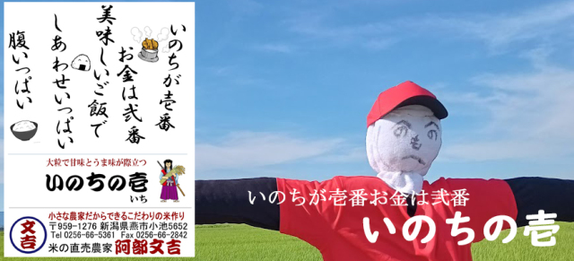 いのちの壱
