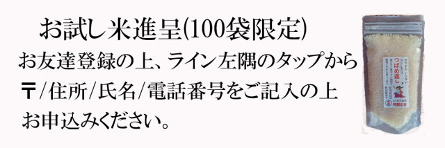 お試し米