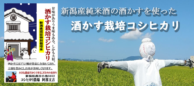酒かす栽培コシヒカリ