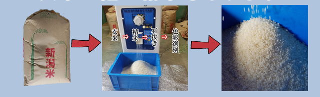 玄米の他に精米もあります