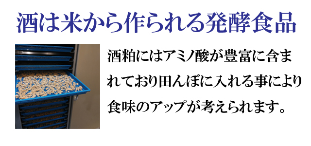 酒は米から作られる発酵食品