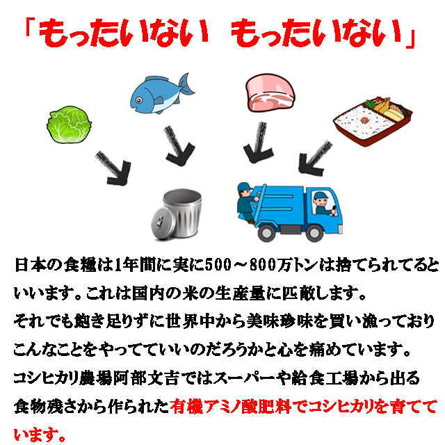 スーパーや給食工場から出る食物残さから作った有機アミノ酸肥料で育てたコシヒカリ