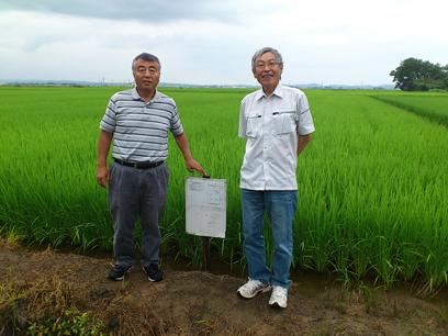 新潟県認証特別栽培米コシヒカリの圃場にて