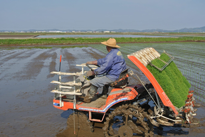 田植え機　クボタＳＰＡ-５